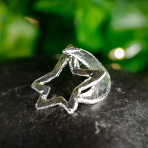 sterling_silver_star_and_moon_post_earrings