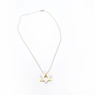 dainty_star_of_david_necklace_14kt_gold_silver